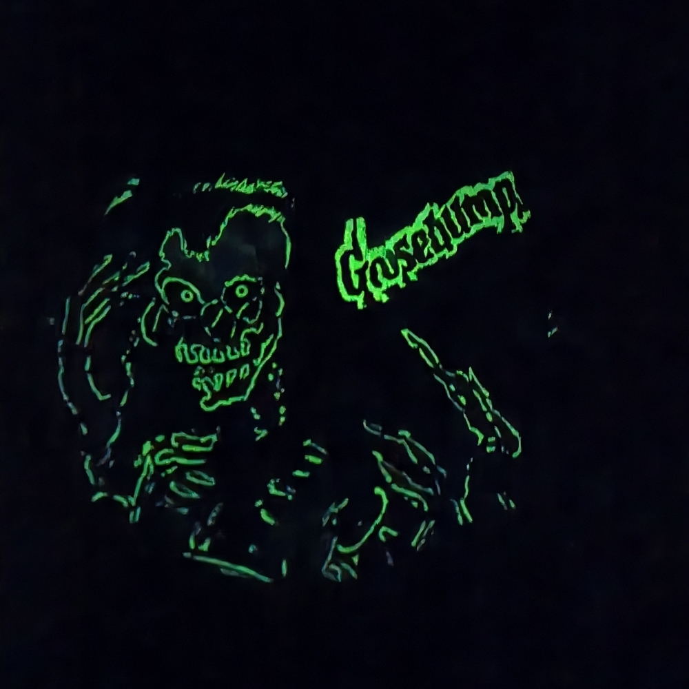 RARE NOS 1997 Goosebumps Boxers Kids 4-5 Glow In The Dark Bad Dog Barking Ghost